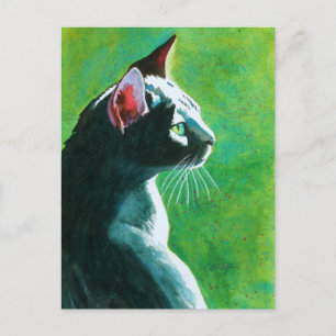 Most Popular Tickles Postcard