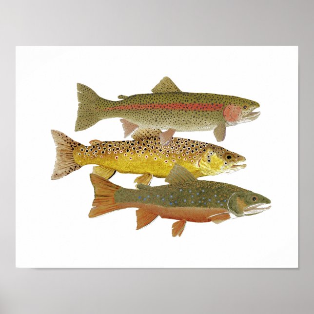 Most Popular Trout Artwork Poster (Front)