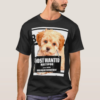 Most Wanted Maltipoo  Maltese Miniature Poodle Dog T-Shirt