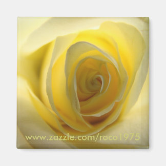 Mostly Centred Magnet