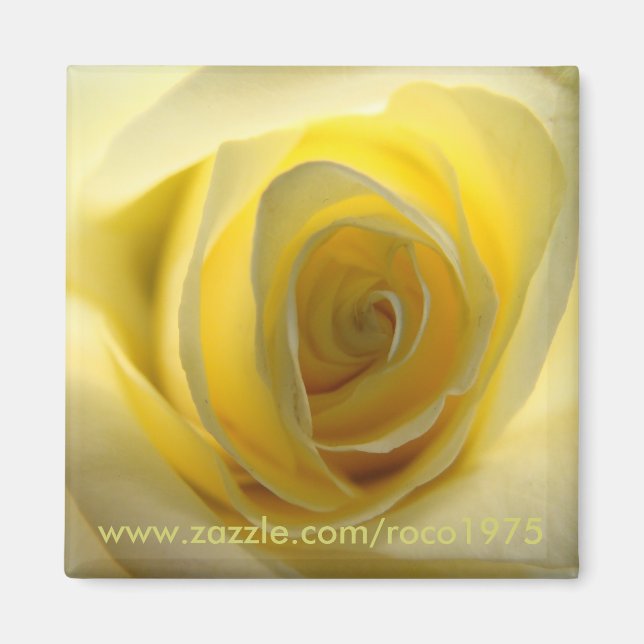 Mostly Centred Magnet (Front)