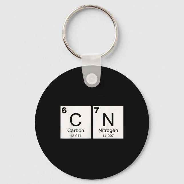 Mostly D Decisions Charlotte Spring Break  Key Ring (Front)