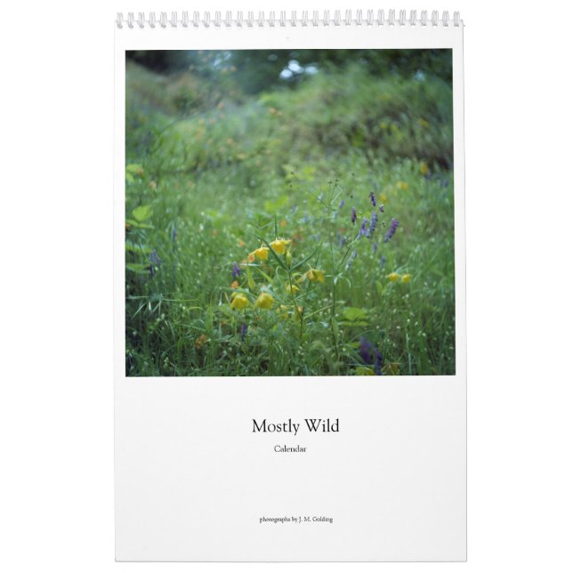 Mostly Wild (flowers) Calendar (Cover)