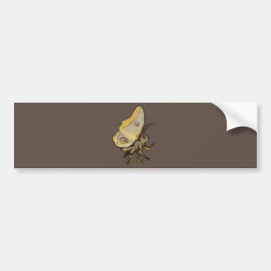 Moth Bumper Sticker