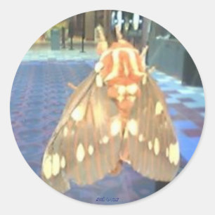 Moth Classic Round Sticker