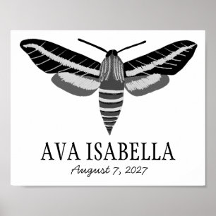 MOTH Elegant Insect CUSTOM BABY NAME BIRTHDATE Poster