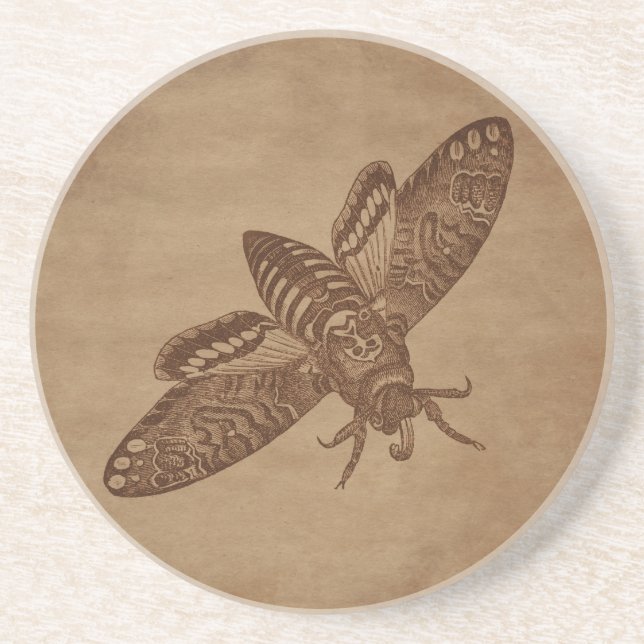 Moth Engraving on Aged Paper Coaster (Front)