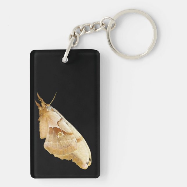Moth Key Ring (Back)