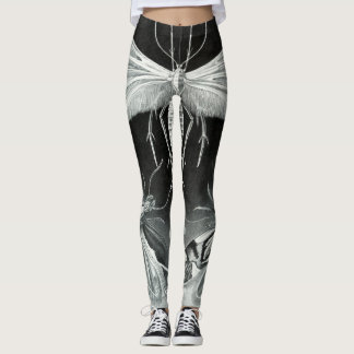 Moth Naturalist Leggings
