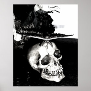 Moth on a skull poster