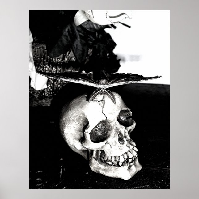 Moth on a skull poster (Front)