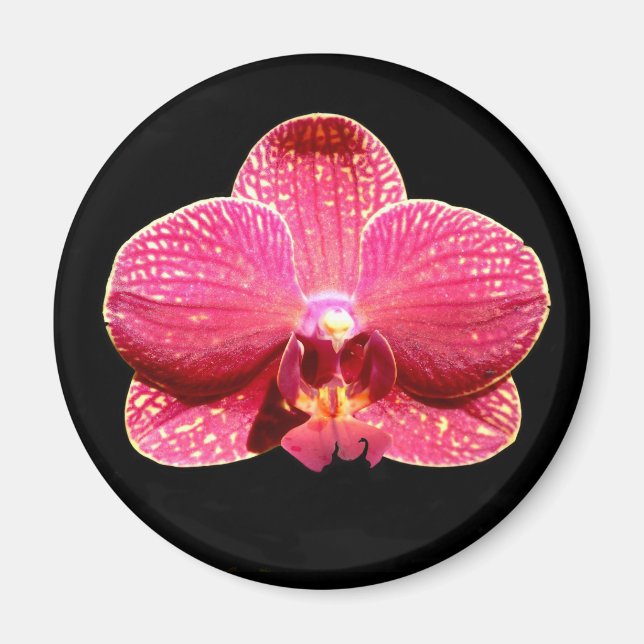 Moth Orchid Magnet (Front)