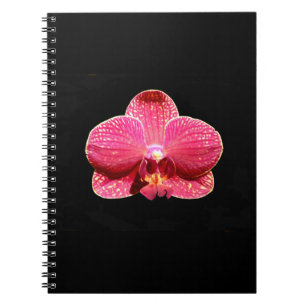 Moth Orchid Spiral Notebook