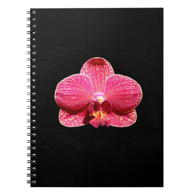 Moth Orchid Spiral Notebook (Front)