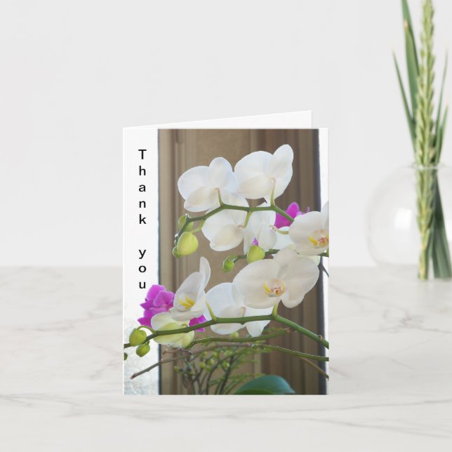 Moth orchids on a Thank You card (Front)