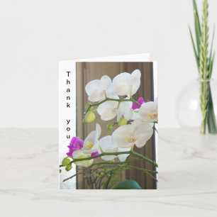 Moth orchids on a Thank You card