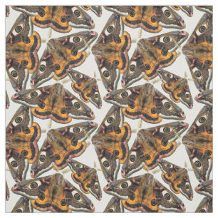 Moth pattern fabric