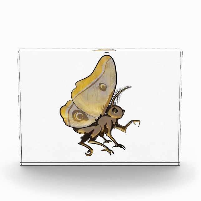 Moth Photo Block (Front)