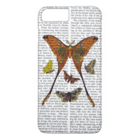 Moth Plate 2