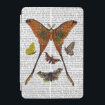 Moth Plate 2 iPad Mini Cover<br><div class="desc">Animals & Nature</div>