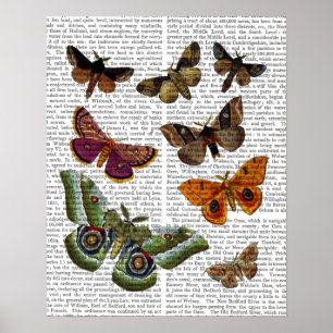 Moth Plate 2 Poster