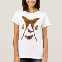 Moth Plate 2