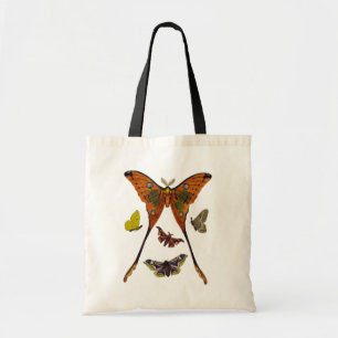 Moth Plate 2 Tote Bag