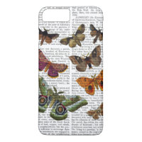 Moth Plate 3