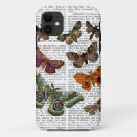 Moth Plate 3