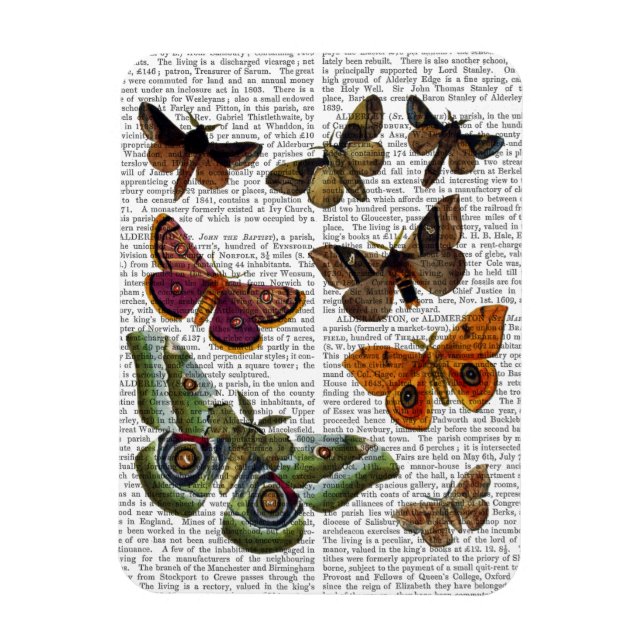 Moth Plate 3 Magnet (Vertical)