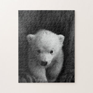 Mother and Baby Animal Bear Photography Jigsaw Jigsaw Puzzle
