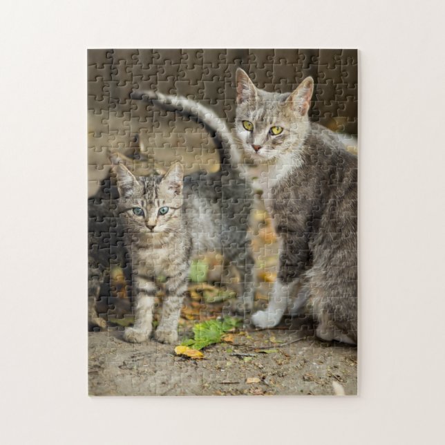 Mother and Baby Animal Cat Photography Animal Jigsaw Puzzle (Vertical)