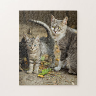 Mother and Baby Animal Cat Photography Jigsaw Puzzle