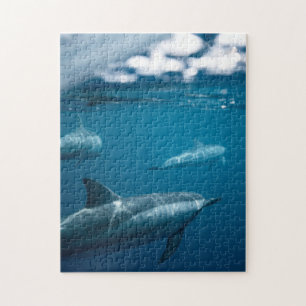 Mother and Baby Animal Dolphin Photography Animal Jigsaw Puzzle
