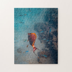 Mother and Baby Animal Fish Photography Animal Jigsaw Puzzle