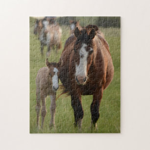 Mother and Baby Animal Horse Photography Jigsaw Puzzle