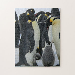 Mother and Baby Animal Penguin Photography Jigsaw Puzzle