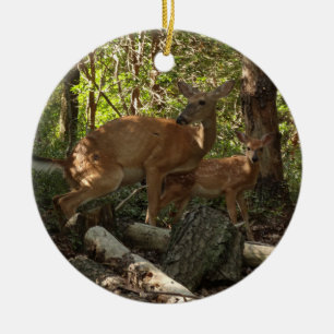 Mother and Baby Deer at Shenandoah National Park Ceramic Ornament