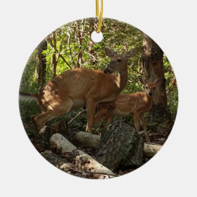 Mother and Baby Deer at Shenandoah National Park Ceramic Ornament (Front)