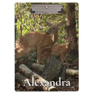 Mother and Baby Deer at Shenandoah National Park Clipboard