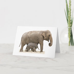 Mother and Baby Elephant Card