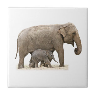 Mother and Baby Elephant Ceramic Tile