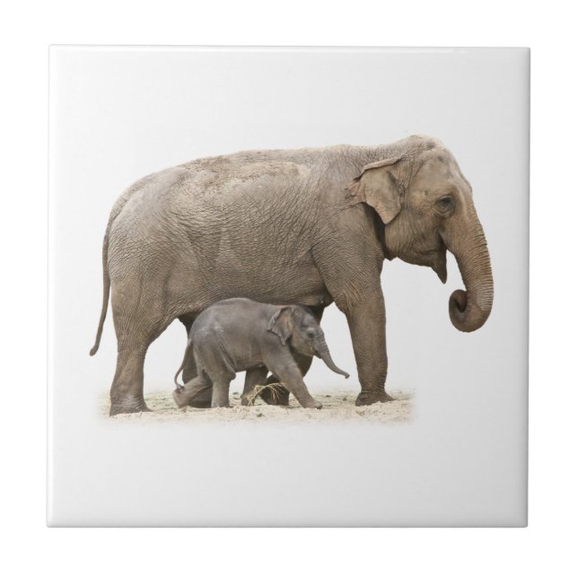 Mother and Baby Elephant Ceramic Tile (Front)