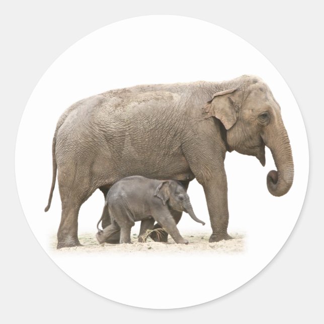 Mother and Baby Elephant Classic Round Sticker (Front)