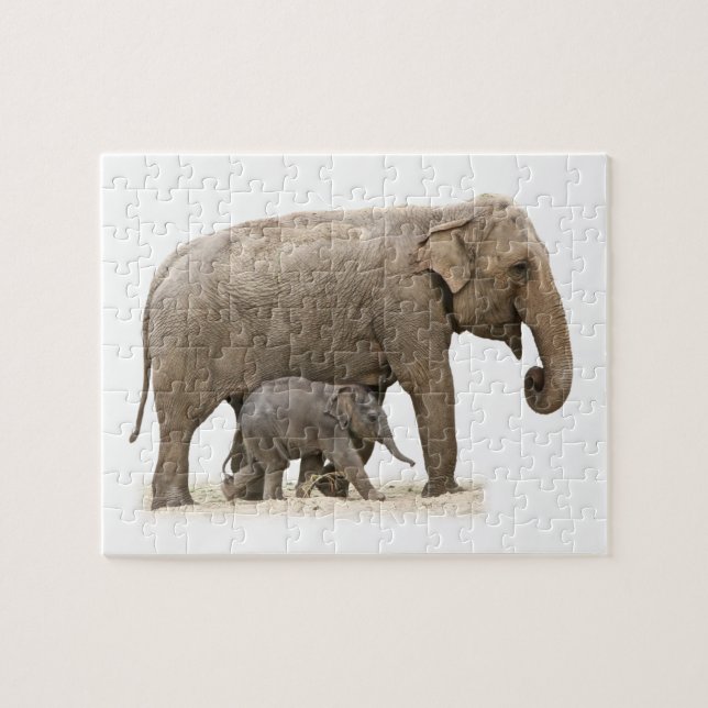 Mother and Baby Elephant Jigsaw Puzzle (Horizontal)
