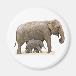 Mother and Baby Elephant Magnet