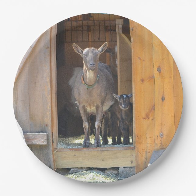 Mother And Baby Goat Plate (Front)