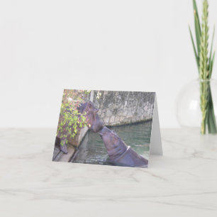 Mother and baby hippos note card