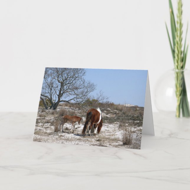 Mother and Baby Horse at Assateague Card (Front)