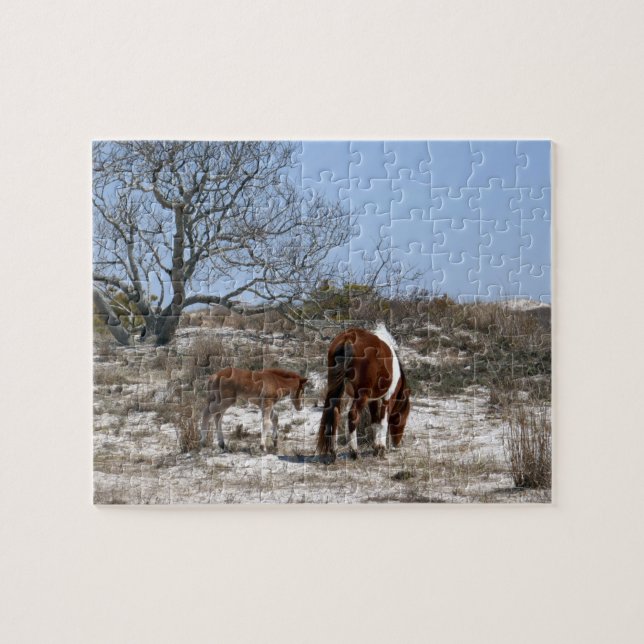 Mother and Baby Horse at Assateague Jigsaw Puzzle (Horizontal)